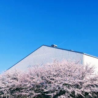 春は塗装工事のベストシーズン？気温・湿度から見る最適な施工時期