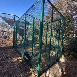 公益財団法人日本モンキーセンター