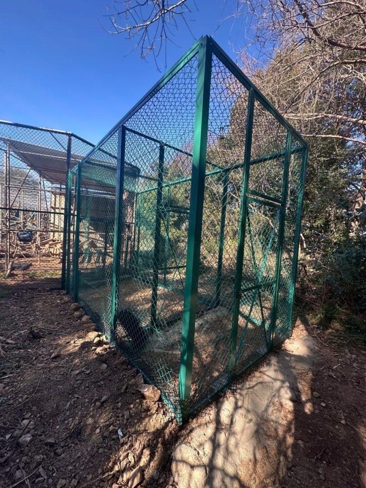 公益財団法人日本モンキーセンター