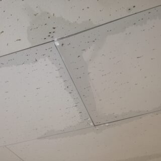 雨が続いて気づいたら要注意｜工場・施設の外壁・屋根の異変と対処法